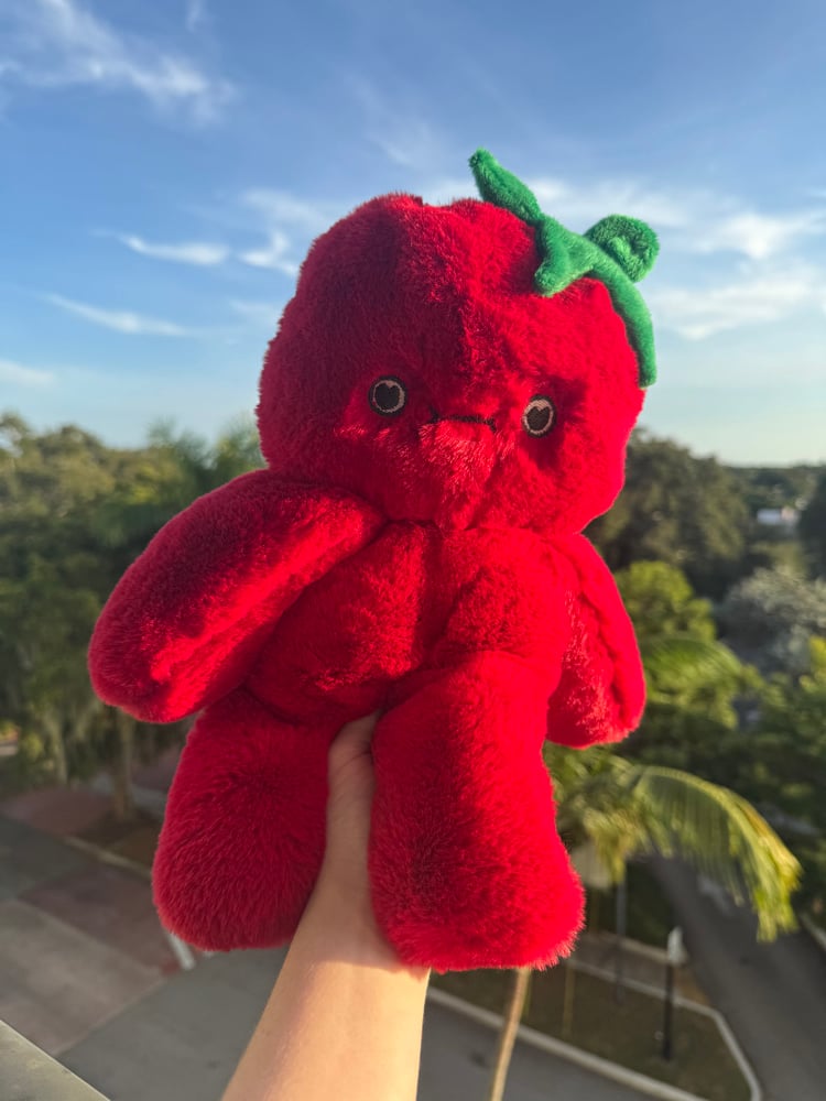 Image of Beefsteak Tometo