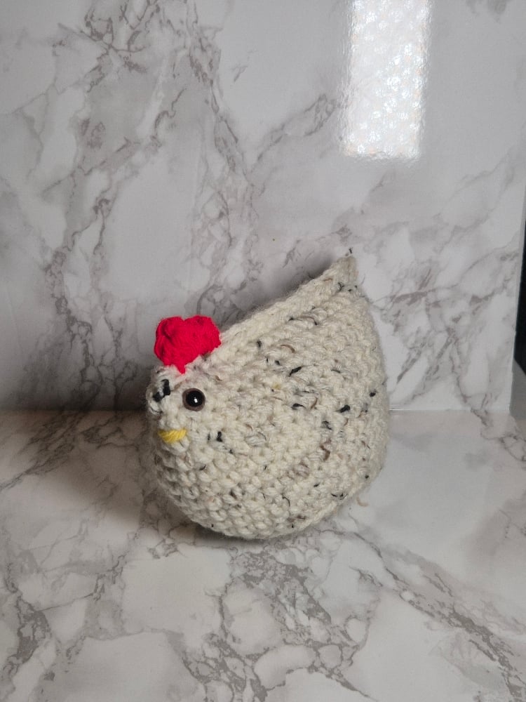 Image of Steve Chicken