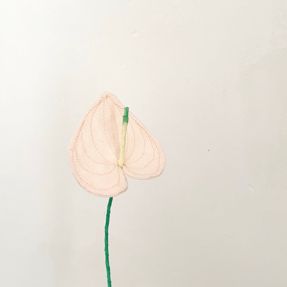 Image of cocon mini mini flowers 