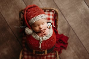 Image of Holiday Snuggler preorder 