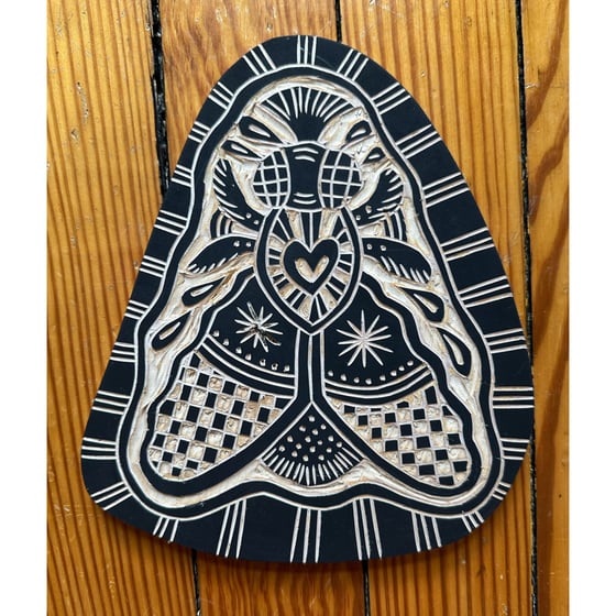 Image of Checker Fly