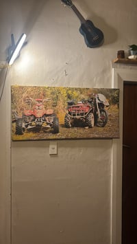 Image 2 of Canvase photo prints (un-farmed)