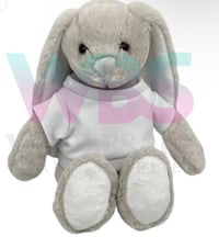 Image 1 of Easter sublimation teddy