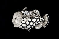 UP56403 - Giclee Print