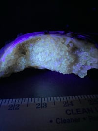 Image 5 of Honey Calcite Clam