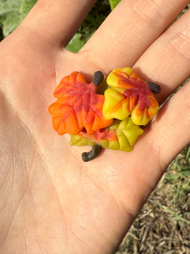 Image of Fall Leaf Pendants 