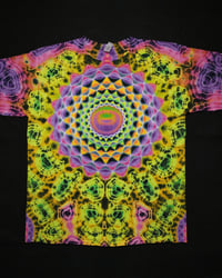 Image 1 of XL Mandala, Honeycomb Tri-Spine, & Kenney