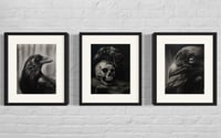 Image 1 of set of 3 (Presence, The Keeper, Ravens Eye) matted and framed