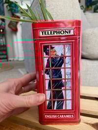 Image 3 of Variegated Spider Plant in Red Telephone Tin