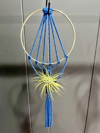 Image 2 of Air Plant Hanger