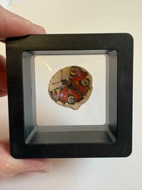 Image 4 of Peacock Butterfly Miniature Shell