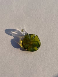 moss clover