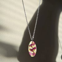 Image 2 of Lantana & Bridal Wreath