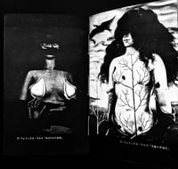 Image 8 of 'Illusion, beauty, euphoria & forbidden pictures”