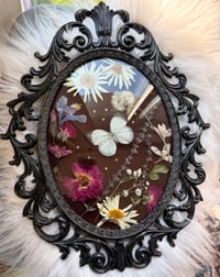 Image 2 of Cabbage White Antique Frame