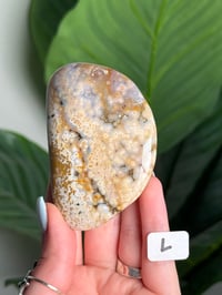 Image 12 of XL CHOOSE YOUR OWN ORBICULAR VEINLESS OCEAN JASPER PALM STONES -MADAGASCAR- 