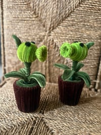 Image 4 of Pea Shooter in pot ~~ Plants vs Zombie