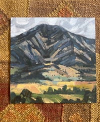 Image 3 of Cherry Bridgers