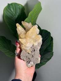 Image 6 of XXL SWEETWATER CALCITE WITH PYRITE -MISSOURI- PORCUPINE POCKET 2025 C