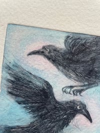 Image 4 of Hugin and Munin no 2