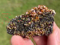 Image 10 of Vanadinite On Black Barite Specimen #2196