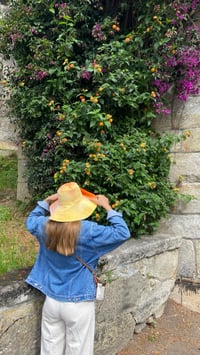 Image 1 of Sombrero Aura