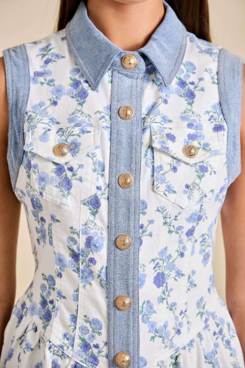 Image of DENIM FLORAL DRESS  