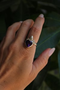 Image 3 of Sacred Purple
