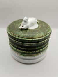 Image 1 of Criss Cross Mossy Cat Jar