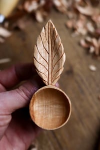 Image 6 of Cherry Leaf~Coffee Scoop