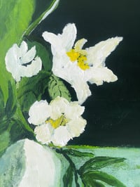 Image 3 of ‘Vase Of Night Flowers’ 2025