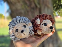 Image 1 of Hazel The Hedgehog 