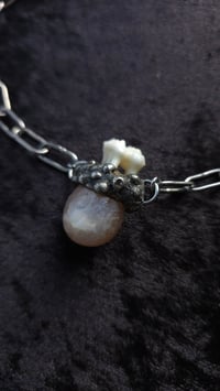 Image 1 of Pink agate and deer tooth necklace