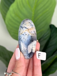 Image 6 of DENDRITIC OPAL SHIVAS