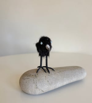 Image of Very Tiny Raven Baby #1