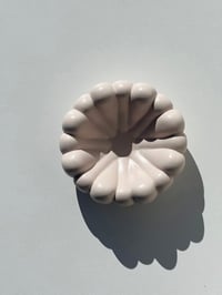 Image 5 of BUBBLE DISH