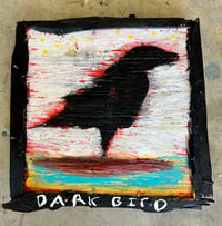 Dark Bird 082124