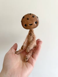 Image 2 of Chocolate Chipper