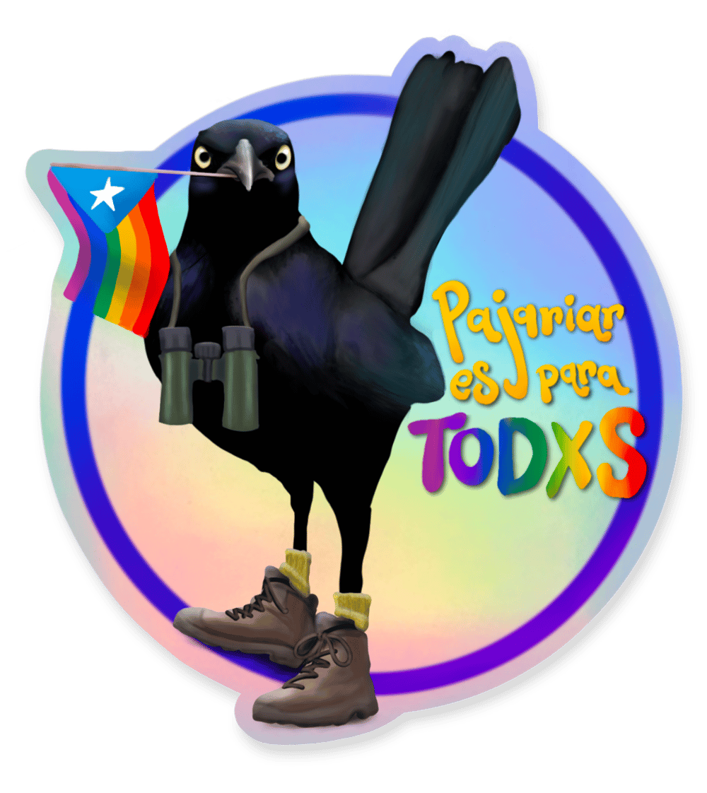 Birding is for Everyone 🏳️‍🌈 Pajariar es para Todxs | Sticker