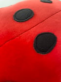 Raggy Roux ladybird cushion 