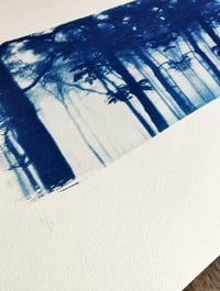 Image 3 of Cyanotype "Forêt"
