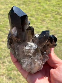 Image 13 of Smoky Quartz Crystal Points Cluster | Brazil #2970