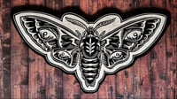 Image 1 of Hummingbird Moth Woodcut