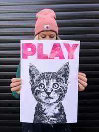 Image 1 of Playful Kittens