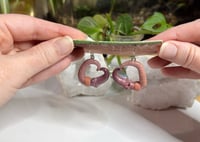Image 4 of Worm Earrings - Diane and Fitzgerald