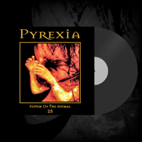 System of the Animal 25 - 12”  LIMITED EDITION VINYL