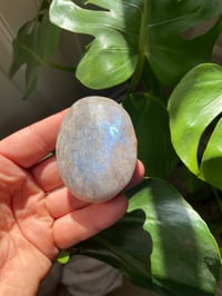 Image 4 of Moonstone Palm Crystal (7)