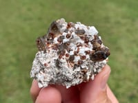 Image 6 of Smoky Quartz & Garnets On Feldspar Specimen #1907