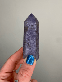 Madagascan Unicorn Stone Point 98g