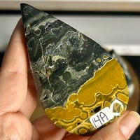 Image 2 of Sea Jasper Flames ($14)